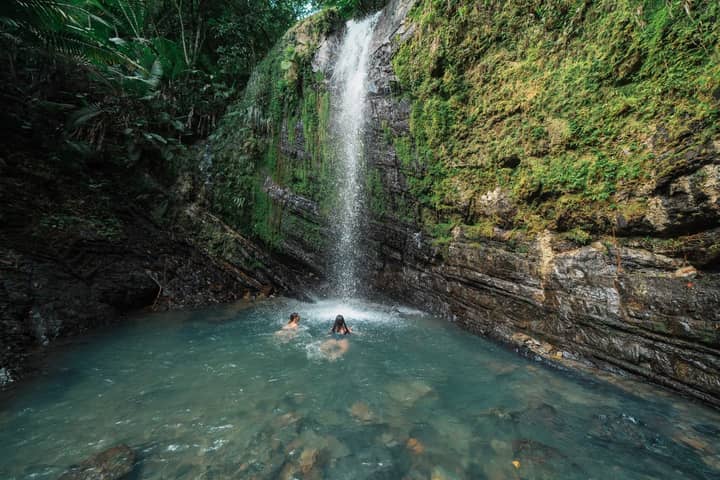 Guests swimming beneath a rainforest waterfall