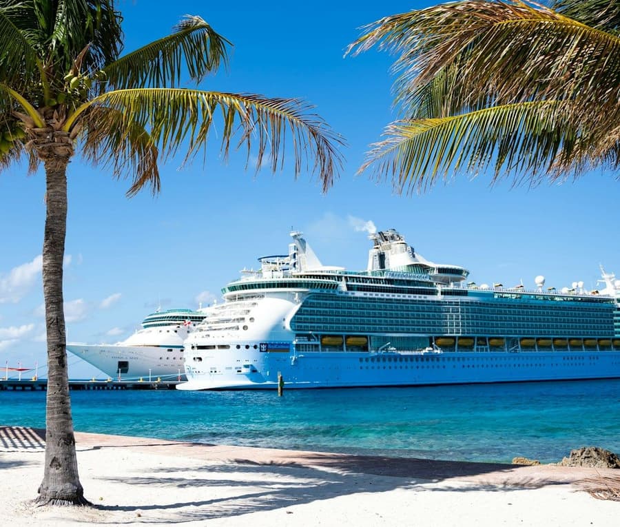 A cruise ship docked beside a palm-lined beach