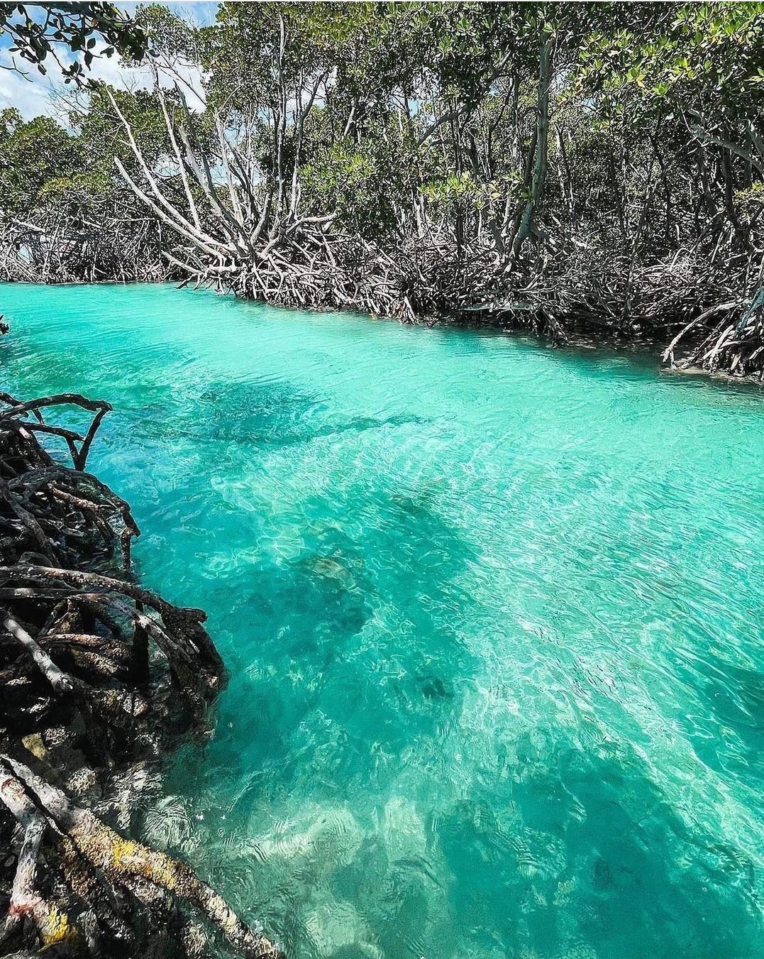 Mystic Waters Under the Sun & Stars