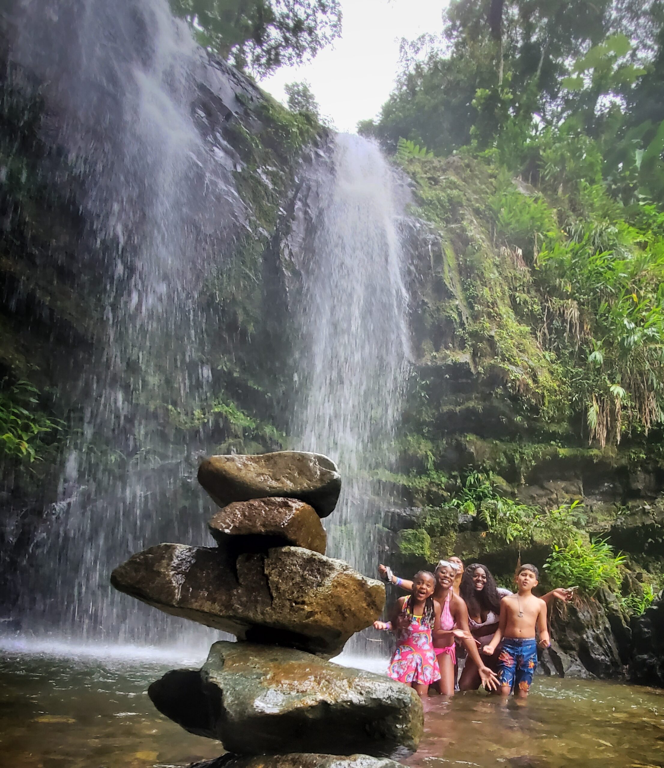 Tropical Rainforest Magic & Wonders