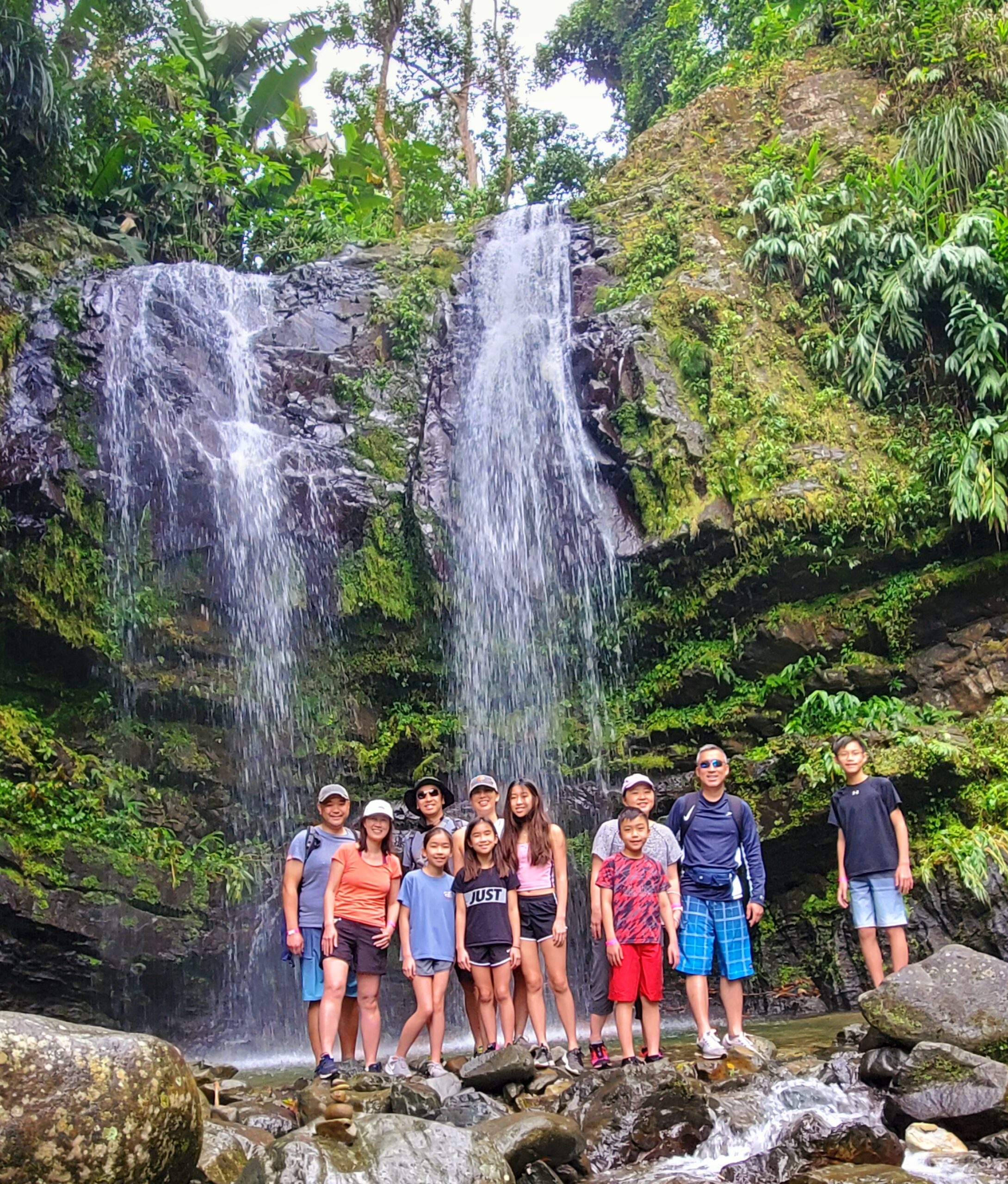 Tropical Rainforest Magic & Wonders