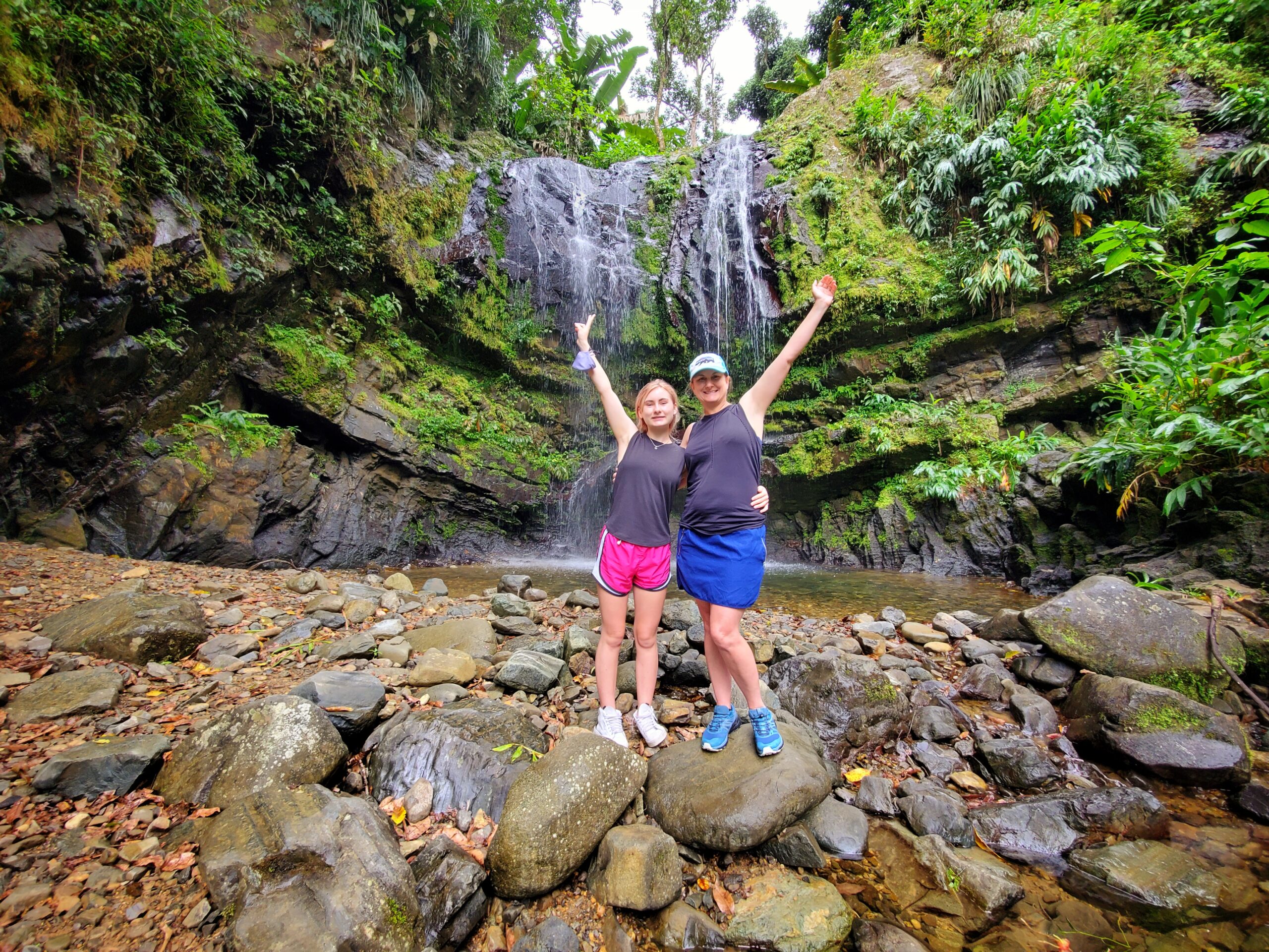 Tropical Rainforest Magic & Wonders