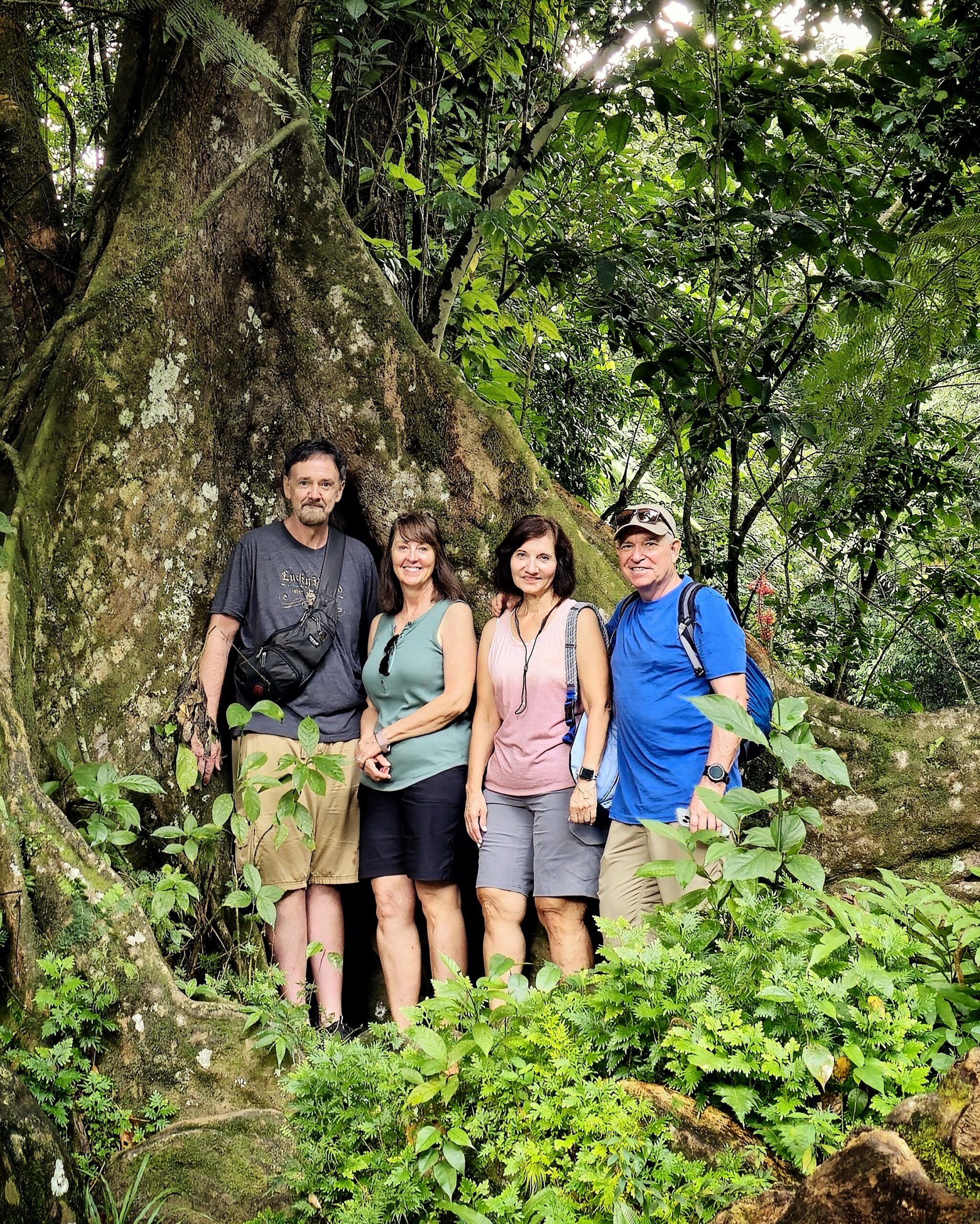 Two couples stand together by a stunning buttress tree, surrounded by the lush greenery of El Yunque Rainforest. This peaceful moment at the end of Angelito Trail captures the beauty of Puerto Rico’s natural wonders. Part of Bucketlist Tours’ Colonial Wonders and Serene Rainforest private Old San Juan tour, an experience that combines history, nature, and serenity in one unforgettable adventure.