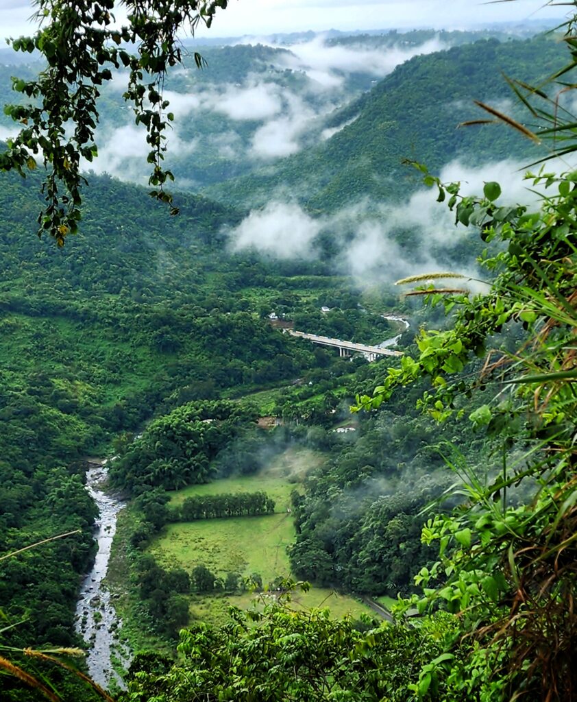 A breathtaking panoramic view of Toro Negro Creek's lush valley, captured from a scenic vantage point en route to Las Delicias Waterfall, the fourth stop of the Tropical Rainforest Magic & Wonders full-day experience by Bucketlist Tours. The mist-covered mountains and vibrant greenery highlight Puerto Rico's natural beauty.