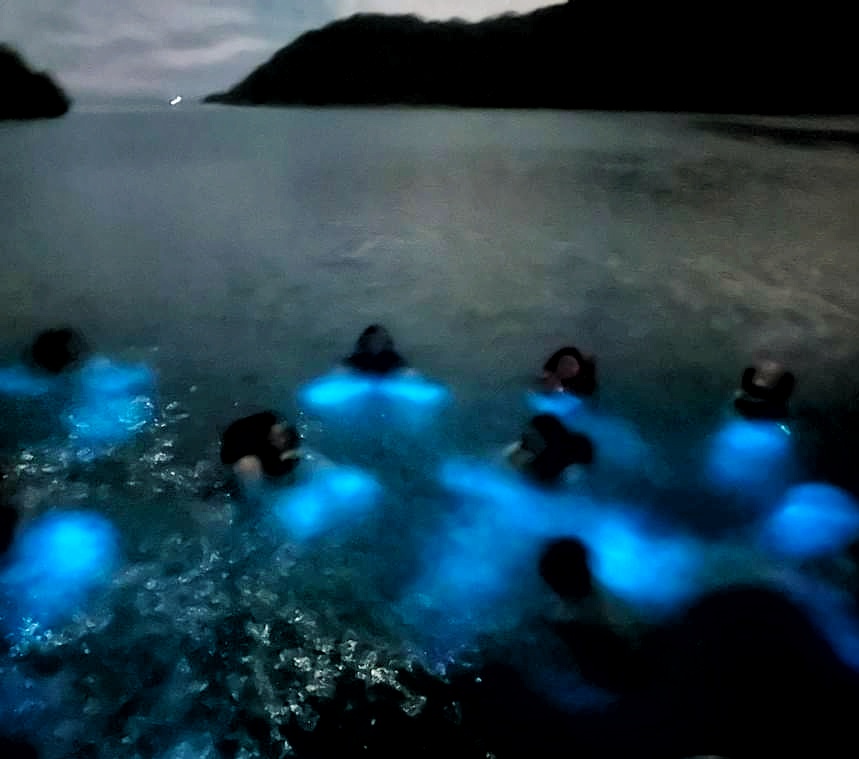 A family of eight, guided by Bucketlist Tours Co-founder Marcos Alexis—the world’s youngest certified international tour guide—immersed in the glowing bioluminescent waters of La Parguera Bay under the night sky. The family is experiencing the unique ecosystem and learning about the science behind the mesmerizing glow as part of the Mystic Waters under the Sun and Stars Private Tour. Offered from San Juan, Dorado, and Rio Grande, this exclusive and fully guided experience ensures unmatched safety and accessibility for couples, families with children, seniors, and even non-swimmers aged 1 to 90.